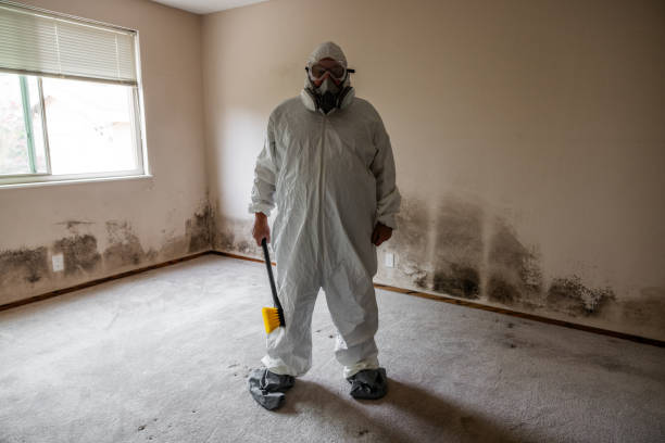 Best Professional Mold Removal  in Globe, AZ